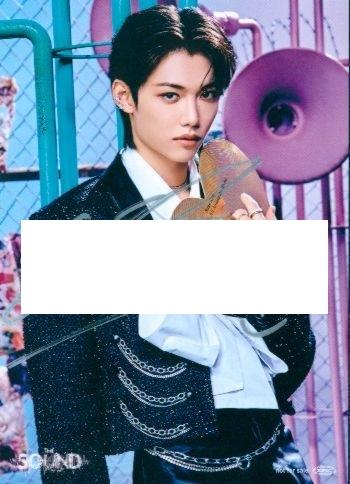 まんだらけ | ラララ(池袋店) 男性アイドル - Stray Kids ・Felix